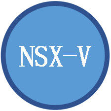 NSX-V